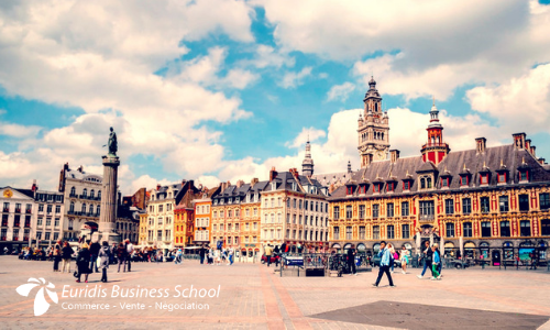 Master ingénieur d’affaires business developer à Lille