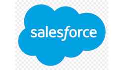 salesforce partenaire euridis business school