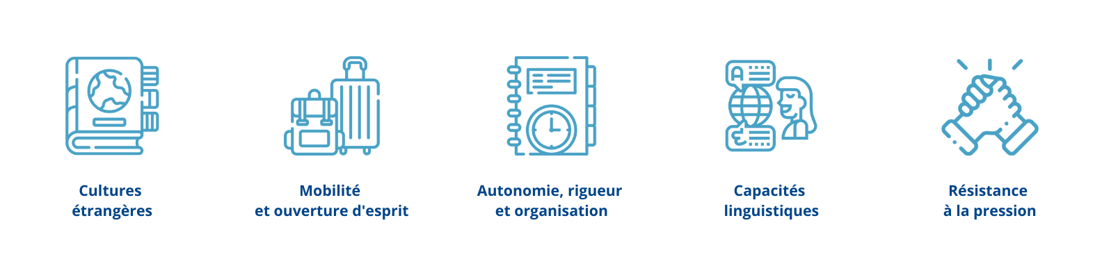 qualité-responsable-ventes-international-sales-manager-métier