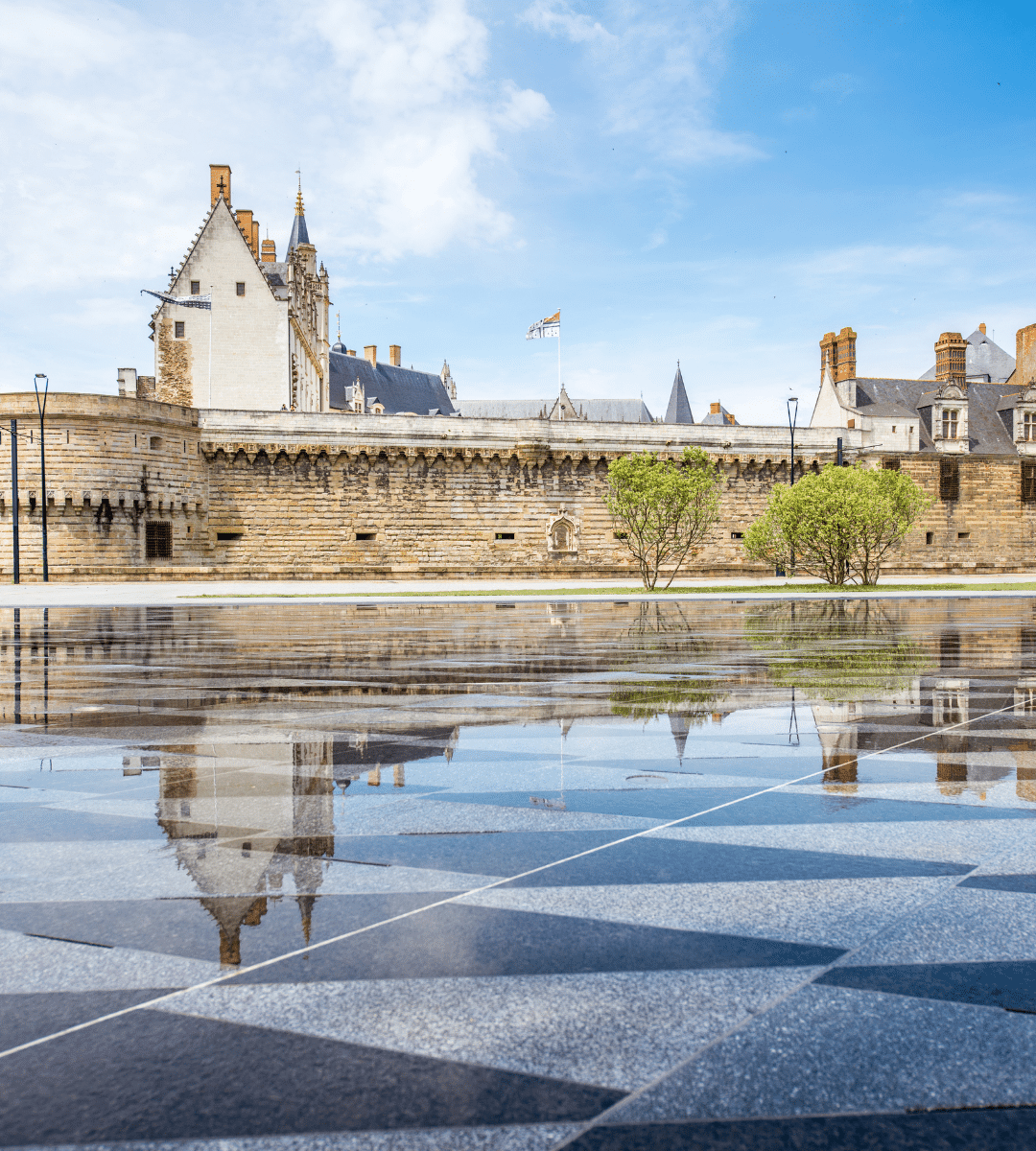 nantes-ecole-de-commerce-euridis-bts-ndrc