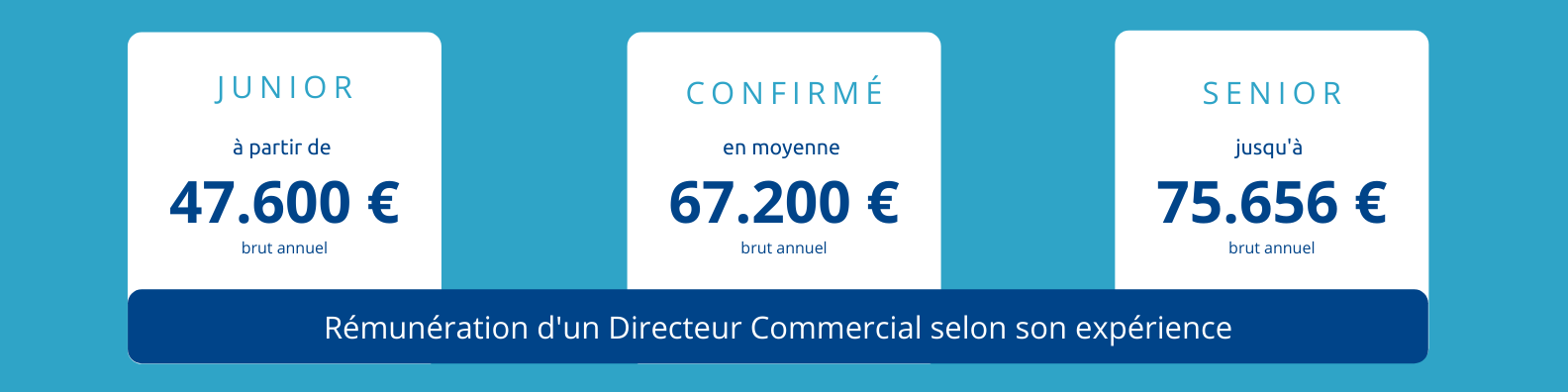 salaire-directeur-commercial-métier