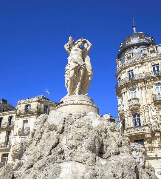 bts-ccst-montpellier-euridis-business-school