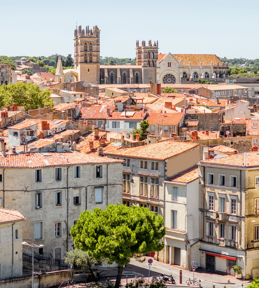 master Ingénieur d'Affaires et Business Developer à Montpellier 